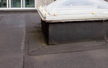 disadvantages of Treburley flat roofs