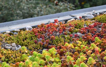 the cost of Treburley green roof installation