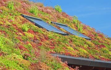 Treburley living roof systems