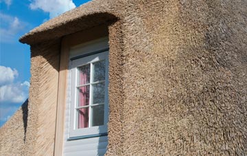 Treburley thatch roof disadvantages